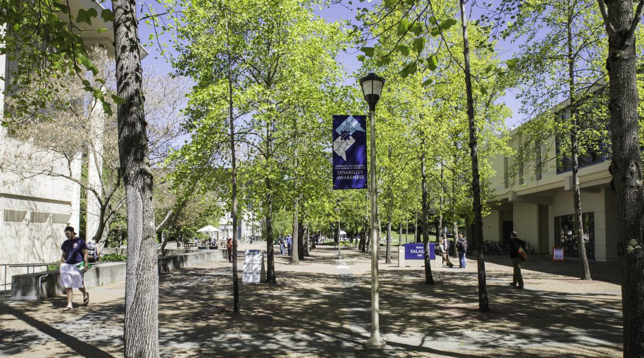 Salazar Quad