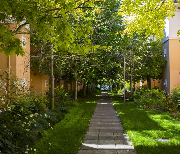 walkway