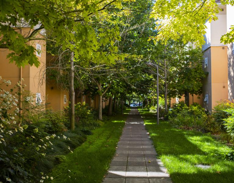 walkway