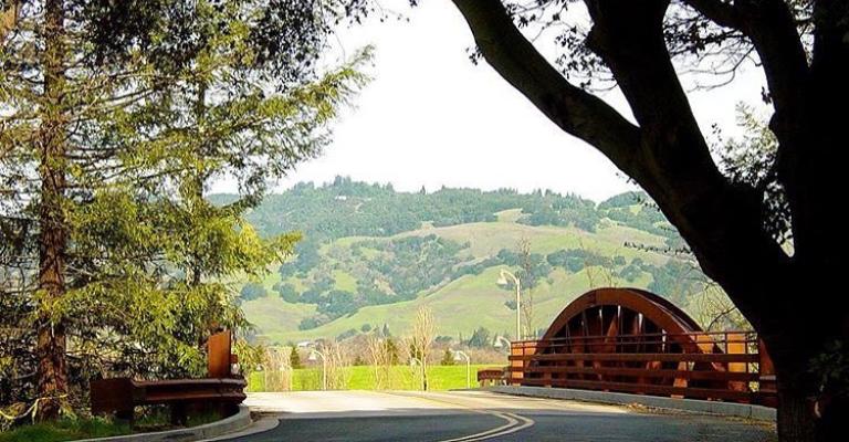 Bridge