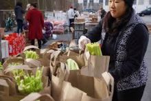 Food Bank Worker